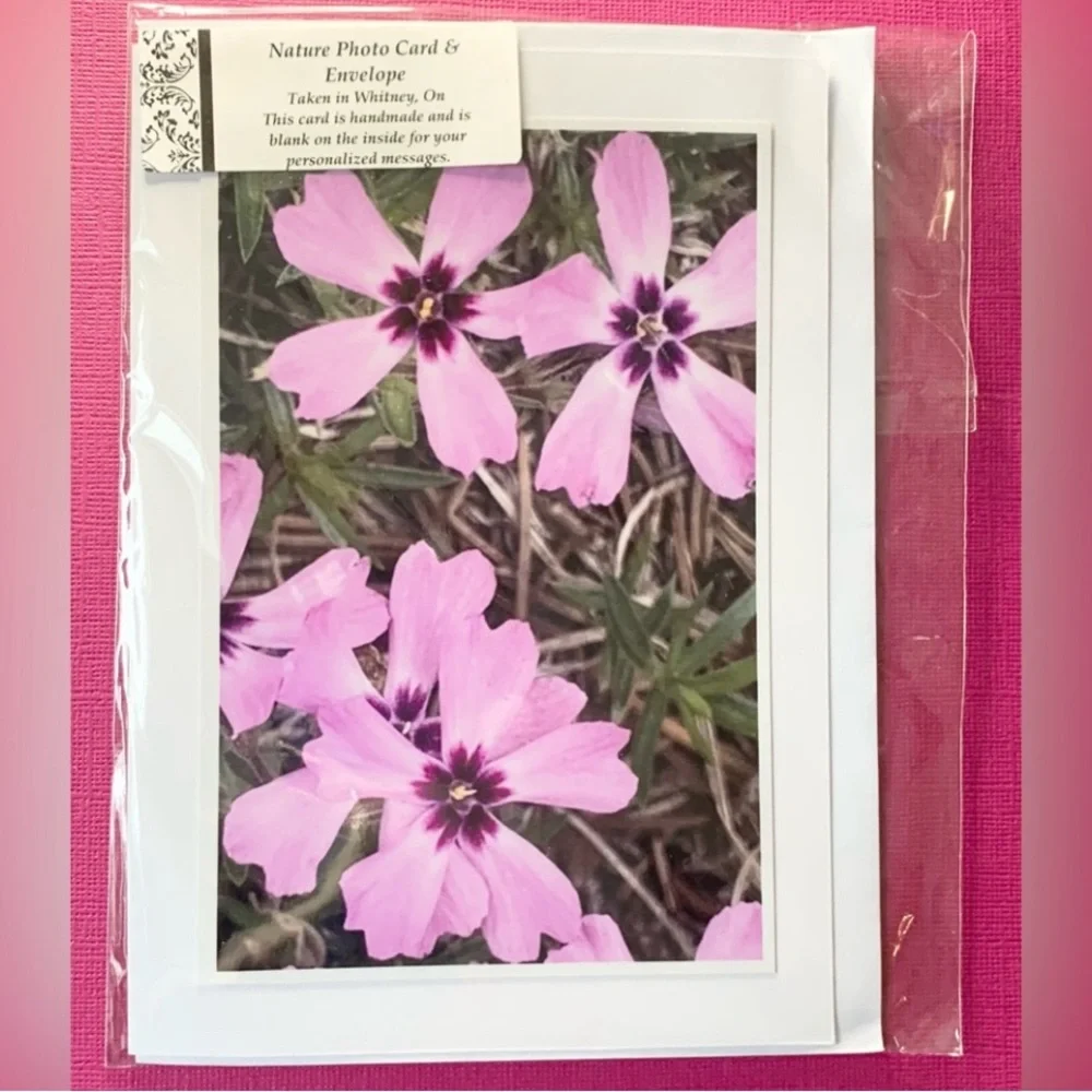 2 for $30 Nature Photo Blank Greeting Cards. Algonquin Spring set of 4 - Picture 2 of 9